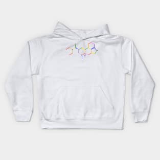 LSD Rainbow Molecule Chemistry Kids Hoodie